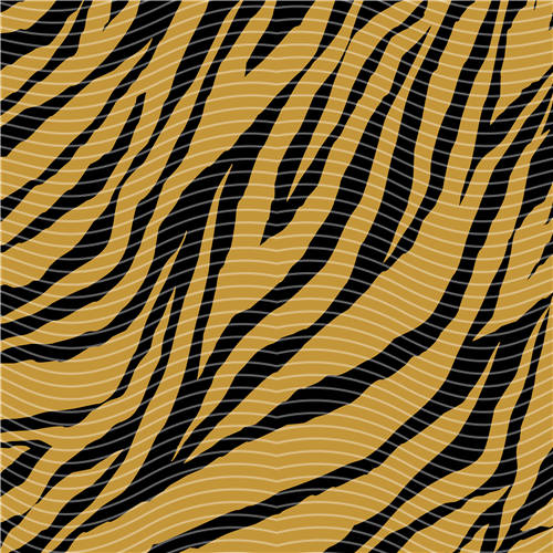 holographic Big- 362